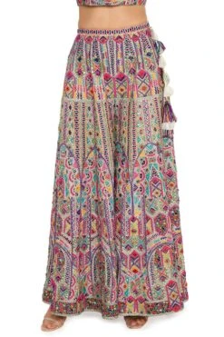 Payal Singhal Multi-coloured Heavy Embroidered Sharara Set 10 Payal Singhal Multi-coloured Heavy Embroidered Sharara Set -Divine Couture 154ps3 4