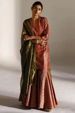 Mimamsaa Agni Brocade Silk Gharara Set