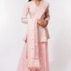 Devika Bhayana Pink Embroidered Sharara Set 2 Devika Bhayana Pink Embroidered Sharara Set -Divine Couture 44db3 1 1