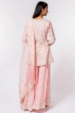 Devika Bhayana Pink Embroidered Sharara Set -Divine Couture 44db3 5 1