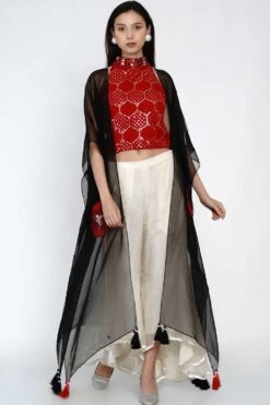 Twenty Nine Organza Cape Set With A Hand Embroidered Top