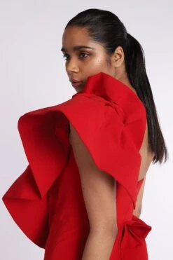 Gauri & Nainika Red One Shouldered Mermaid Gown -Divine Couture gn gwn 116a 4