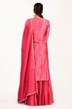 Punit Balana Red Sharara With Hand Embroidery -Divine Couture pbmr 37 4