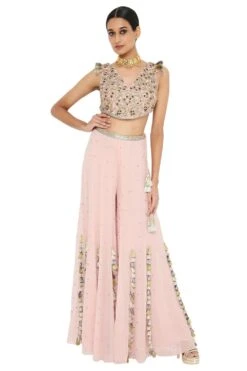 Payal Singhal Rose Pink Georgette Choli & Sharara Set